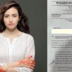 Sana Javed sends legal notice to Manal Saleem & others
