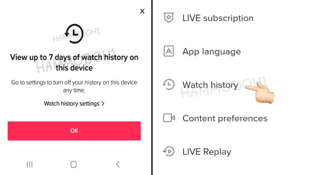 TikTok is releasing a new Watch History feature
