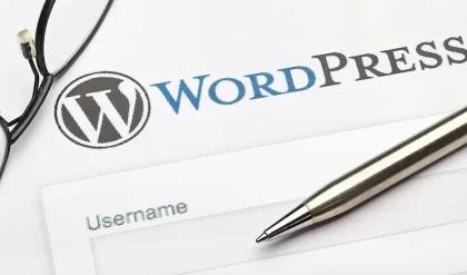 WordPress Development Agency Working Principles