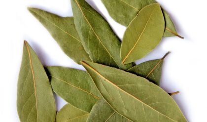Bay Leaf Nutrition Facts and Health Benefits